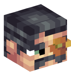 Minecraft head — People