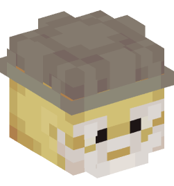 Minecraft head — People