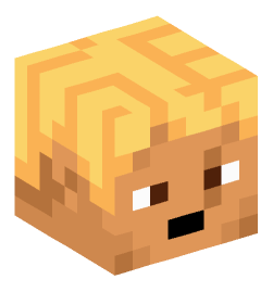 Minecraft head — People