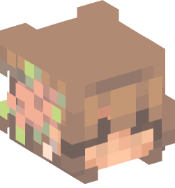 Minecraft head — People