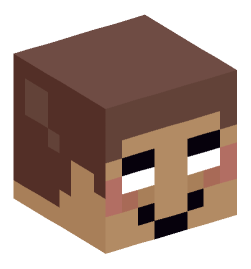 Minecraft head — Miscellaneous