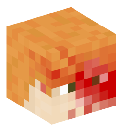 Minecraft head — People