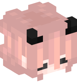 Minecraft head — Creatures