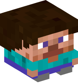 Minecraft head — Decor