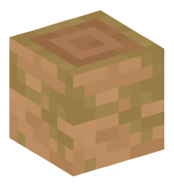 Minecraft head — Blocks