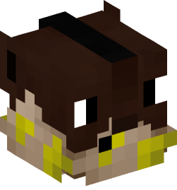 Minecraft head — Decor