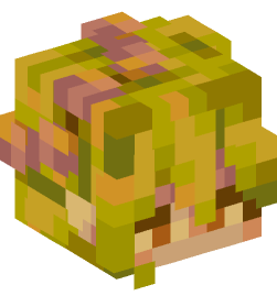 Minecraft head — Creatures