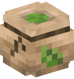 Minecraft head — Decor