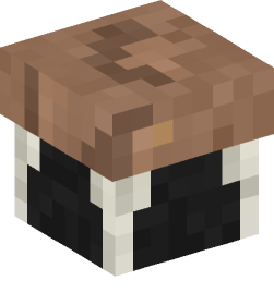 Minecraft head — Decor