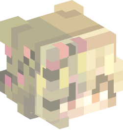 Minecraft head — People