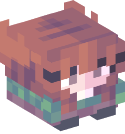 Minecraft head — Decor