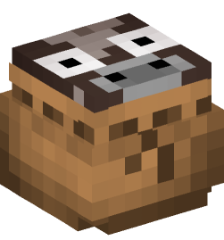 Minecraft head — Decor