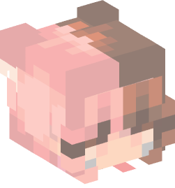 Minecraft head — People