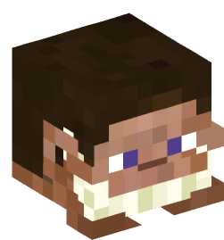 Minecraft head — People