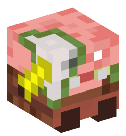 Minecraft head — Decor