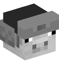 Minecraft head — Decor