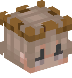 Minecraft head — People