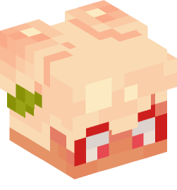 Minecraft head — People