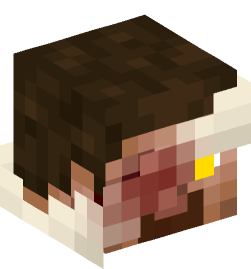 Minecraft head — People