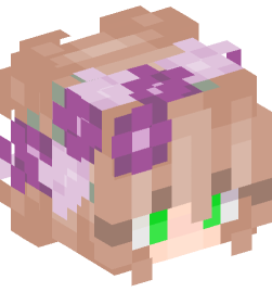 Minecraft head — People