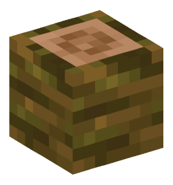 Minecraft head — Blocks