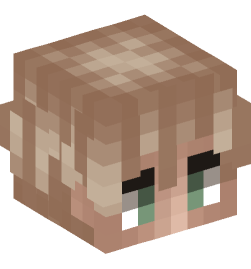 Minecraft head — People