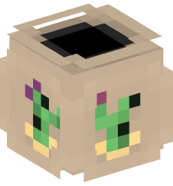 Minecraft head — Decor