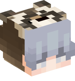 Minecraft head — People