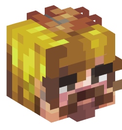 Minecraft head — People