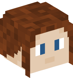 Minecraft head — People