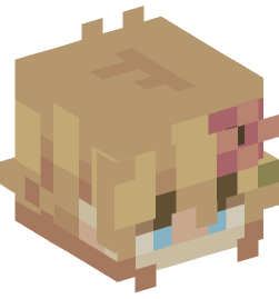 Minecraft head — People