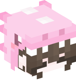 Minecraft head — People