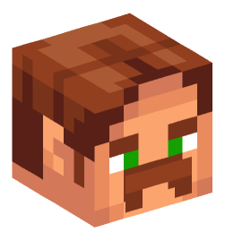 Minecraft head — People