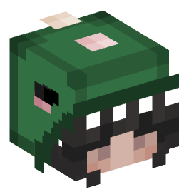 Minecraft head — People