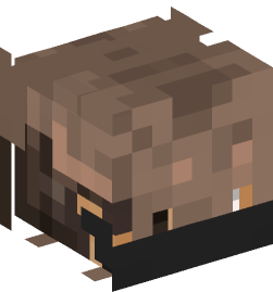 Minecraft head — People