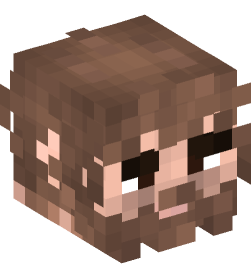 Minecraft head — People