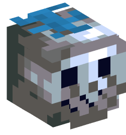 Minecraft head — People