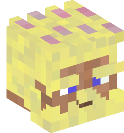 Minecraft head — People