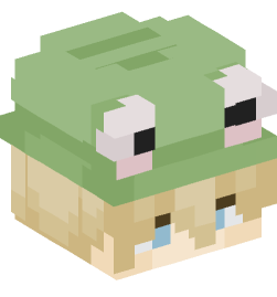 Minecraft head — People