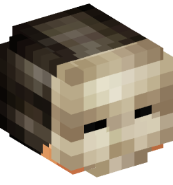 Minecraft head — People