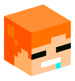 Minecraft head — Miscellaneous