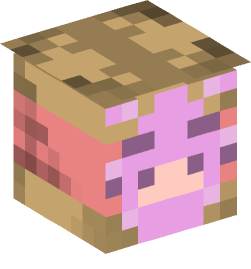 Minecraft head — Decor