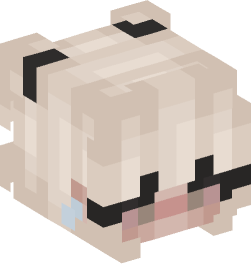 Minecraft head — People