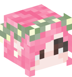 Minecraft head — People