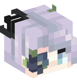 Minecraft head — People