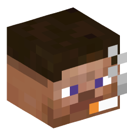 Minecraft head — People