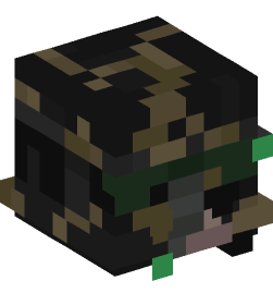 Minecraft head — People