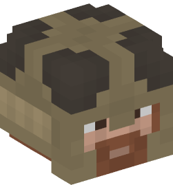 Minecraft head — People