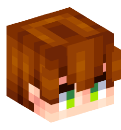 Minecraft head — People