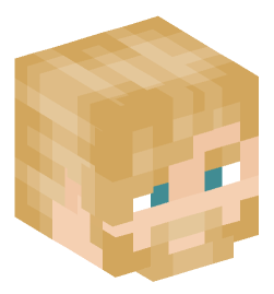 Minecraft head — People